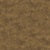 Sahara